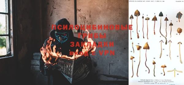 ALPHA-PVP Алексин