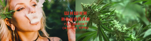 ПСИЛОЦИБИНОВЫЕ ГРИБЫ Алзамай