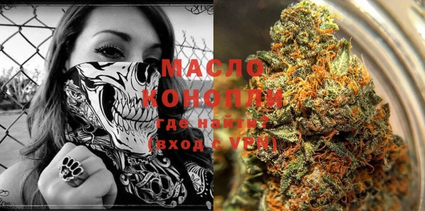 дживик Пересвет