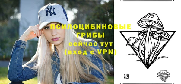 ПСИЛОЦИБИНОВЫЕ ГРИБЫ Алзамай